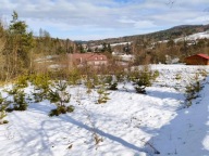 Działka, Paleśnica, Zakliczyn, Tarnowski, 3200 m²