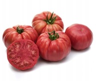 Pomidor malinowy Cassarosa F1 nasiona jakości premium holenderskie 10szt **