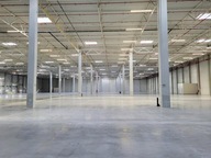 Magazyny i hale, Siedlce, 1900 m²