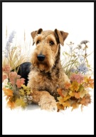 A2 PLAKAT PIES W KWIATACH RASA AIREDALE TERRIER