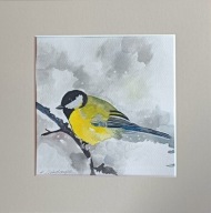 sikora ptak sikorka bogatka zima akwarela na papierze