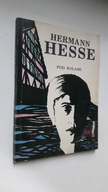 POD KOLAMI - Hermann Hesse