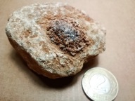 Granat Grossular var. HESSONIT - Vápenná, Czechy