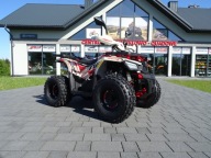 QUAD DLA DZIECI ASIX HUNTER 125CC 8'' 1+1 AUTOMAT 4T W TRZECH KOLORACH