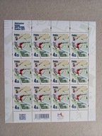 5173 ** ark. Amp.Futbol Kraków / 2021