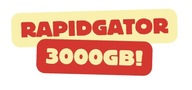 3000 GB RAPIDGATOR NET - PREMIUM SERWIS DO RAPIDGATOR.NET RG.TO - 3TB!