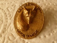 26 ) ODZNAKA ŁOWIECKA PZŁ