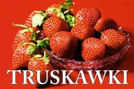 BANER SPRZEDAŻ TRUSKAWEK TRUSKAWKI TRUSKAWKA 120X80 E
