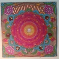 QUINTESSENCE - Dive Deep 1st UK Pr Ex Lp 430