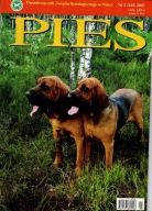 Pies nr 5/2007
