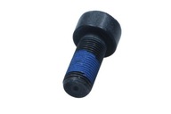 Śruba koła zamachowego RENAULT 123153058R