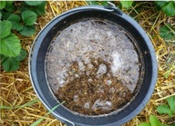 Nawóz gnojówka z kurzeńca obornik kurzy 4,5l