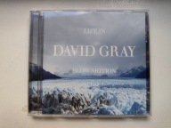DAVID GRAY - Life In Slow Motion David Gray CD