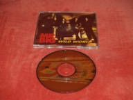 Mr. Big Wild World 1993