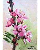 Obraz akwarela Kwiaty brzoskwini Tsarenko Oryginał