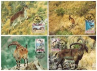 04-MC68- Etiopia 1990-Koziorożec