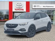 Opel Grandland X Opel Grandland X 1.6, 1 właścic