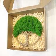 Drzewko Szczęścia Chrobotek, oryginalny prezent na każdą okazję