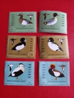 Filatelistyka polska od 1981r