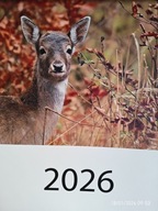 Kalendarz ścienny 2026 Polska Przyroda