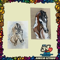 Zestaw obrazów "Łaciaty pęd" - Aukcje 34. Finał WOŚP