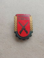 Odznaka Wzorowy Strzelec