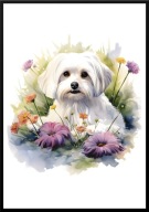 A2 PLAKAT PIES W KWIATACH RASA MALTAŃCZYK