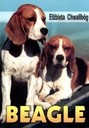 Beagle Elżbieta Chwalibóg