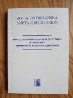 Praca z indywidualnym przypadkiem w nadzorze rodzinnego kuratora sądowego
