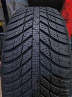 Nexen N'Blue 4Season 225/50 R17 7,5mm