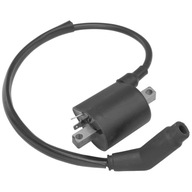 Cewka Zapłonowa Atv Quad Keeway Gtx Linhai Benyco Buyang Allroad 260 300