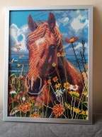 Koń na pastwisku -Haft Diamentowy