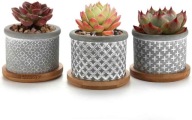 T4U doniczka na sukulenty 3 szt.