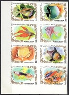 **892 AJMAN 1312B-19B - RYBY