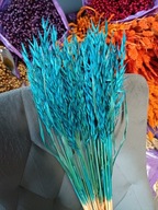 owies naturalny suszony zboże susz kwiaty trawa ozdobna niebieski 30szt