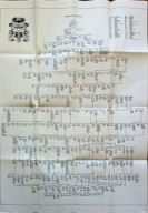 Genealogia Radziwiłłów duża tablica Genealogiczna Rodowa Herb Unikat