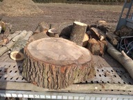 BRZOZA dąb PIENIEK STOLIK karpina