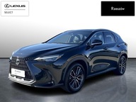 Lexus NX 350h Omotenashi AWD II (2021-) NX350h Omo