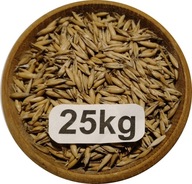 Owies Ozimy, Biały, Polski, Od Rolnika 25kg, 2025r