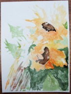 KWIATY (64) dla 884 Skubalskich