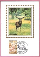 Francja 1972, MC FDC Romorantin, las, jeleń, JEDWAB