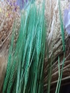 Jęczmień naturalny suszony zboże susz kwiaty kompozycje miętowy