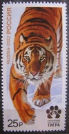 Rosja - Mi 3174 - Tygrys