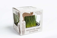 Kot w Butach Wyrośnięta ŚWIEŻA trawka dla kota ODKŁACZANIE przysmak - L