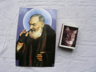 OBRAZEK .,.,. ,.,.,.SALWATORIANIE KRAKÓW