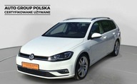 Volkswagen Golf Highline, ACC, Podgrzewane fotele, GPS, Kamera, Rozpoznawa