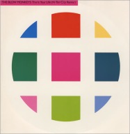 THE BLOW MONKEYS This Is Your Life