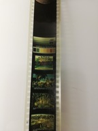 Bajka TRZY MAŁE LWIĄTKA rzutnik Ania z PRL-u