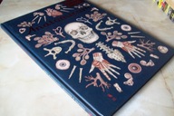 ANATOMICUM MUZEUM ANATOMII PAXTON