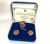 CAMROSE & KROSS JBK UNIKATOWA BIŻUTERIA BROSZKA + KLIPSY WYJĄTKOWY PREZENT